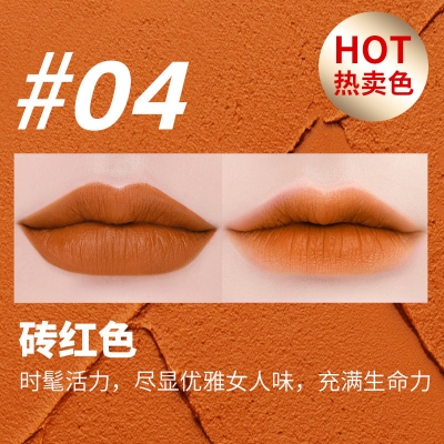 Picture of SVMY Velvet Lip Glaze Lipgloss Deep Brown 04