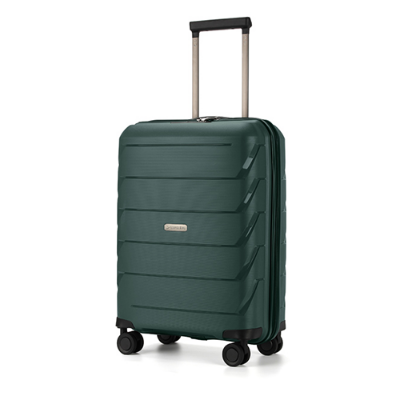 Picture of Leaves King  Family Size TSA Lock Travel Trolley Luggage-2007(Green)
