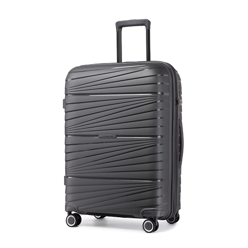 Picture of Leaves King  Family Size TSA Lock Travel Trolley Luggage-2008(Grey)