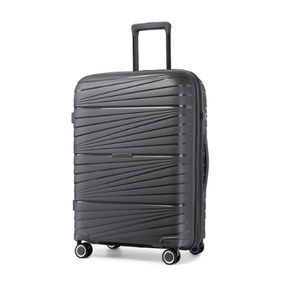 Picture of Leaves King  Family Size TSA Lock Travel Trolley Luggage-2008(Grey)