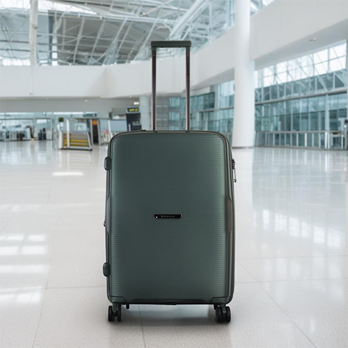 Picture of Leaves King  Family Size TSA Lock Travel Trolley Luggage-2006(Green)