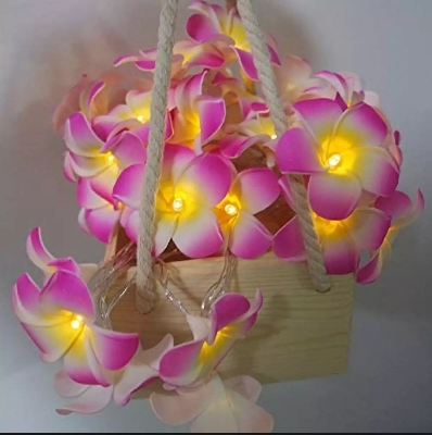 Picture of Foam artificial pink plumeria flower led string light bedroom decorative party fairy light 20pcs set
