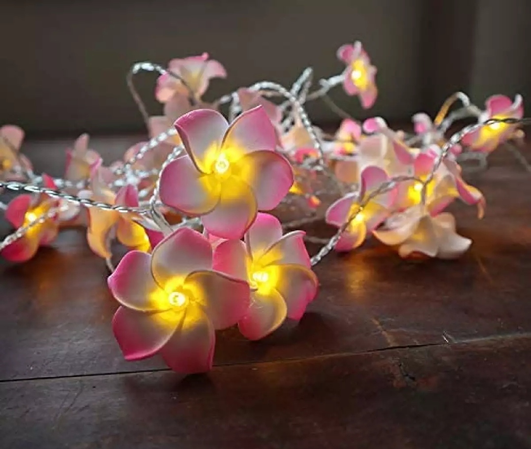 Picture of Foam artificial pink plumeria flower led string light bedroom decorative party fairy light 20pcs set