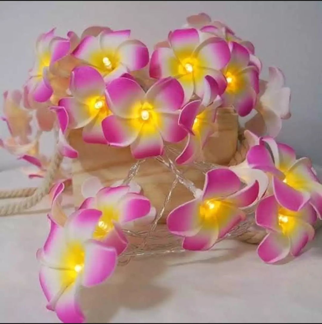 Picture of Foam artificial pink plumeria flower led string light bedroom decorative party fairy light 20pcs set