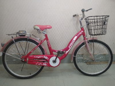 Picture of 24'' ladies cycle Frozen