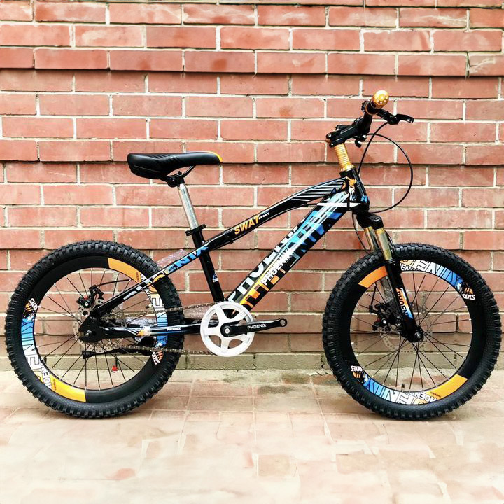 Picture of 20'' Phoenix Disc Brake Cycle - Enjoy Smooth And Reliable Braking Performance With The 20'' Phoenix Disc Brake Cycle