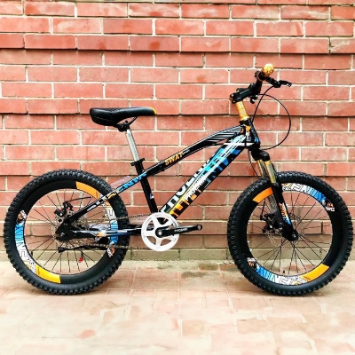 Picture of 20'' Phoenix Disc Brake Cycle - Enjoy Smooth And Reliable Braking Performance With The 20'' Phoenix Disc Brake Cycle