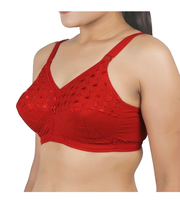 Picture of Juliet Nari Bra Red Colour Size 36 INDIAN