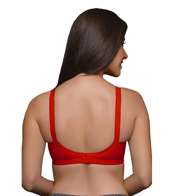 Picture of Juliet Nari Bra Red Colour Size 36 INDIAN