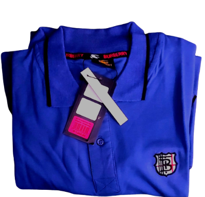 Picture of Burberry polo tshirt