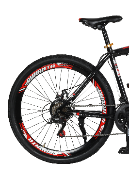 Picture of Duranta Scorpion Plus MTB Adult Bike