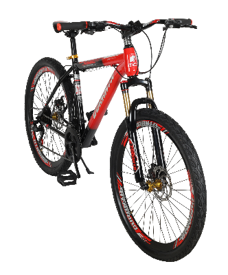 Picture of Duranta Scorpion Plus MTB Adult Bike
