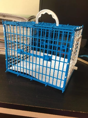 Picture of Birds Carrying Cage Only for Small Birds 1p