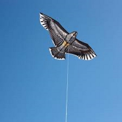Picture of 5 Feet Egale Kite.