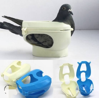 Picture of Pigeon Lock Holder For Feeding 1pc