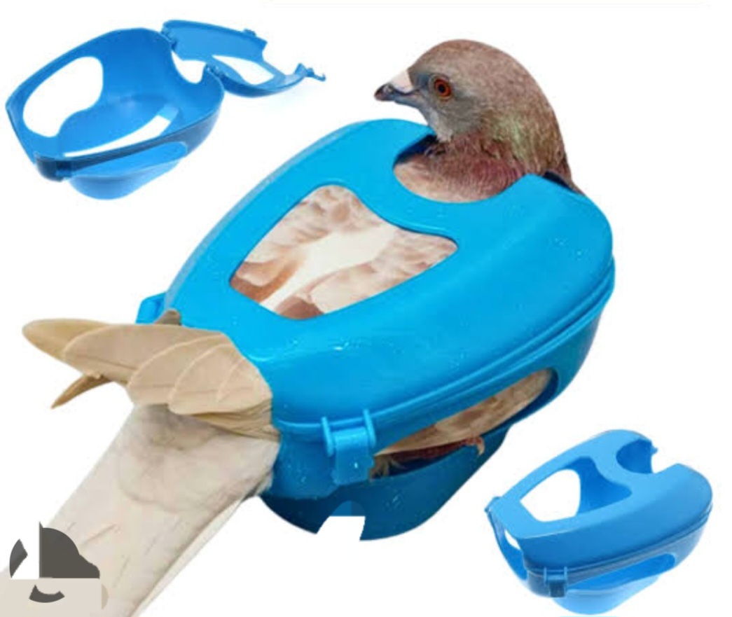 Picture of Pigeon Lock Holder For Feeding 1pc