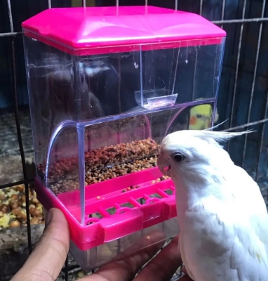 Picture of Bird AutomaticFeeding Pot Hopper multi color 1 pcs