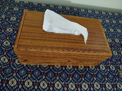 Picture of Modern tissue box made by vernier board