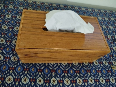 Picture of Modern tissue box made by vernier board