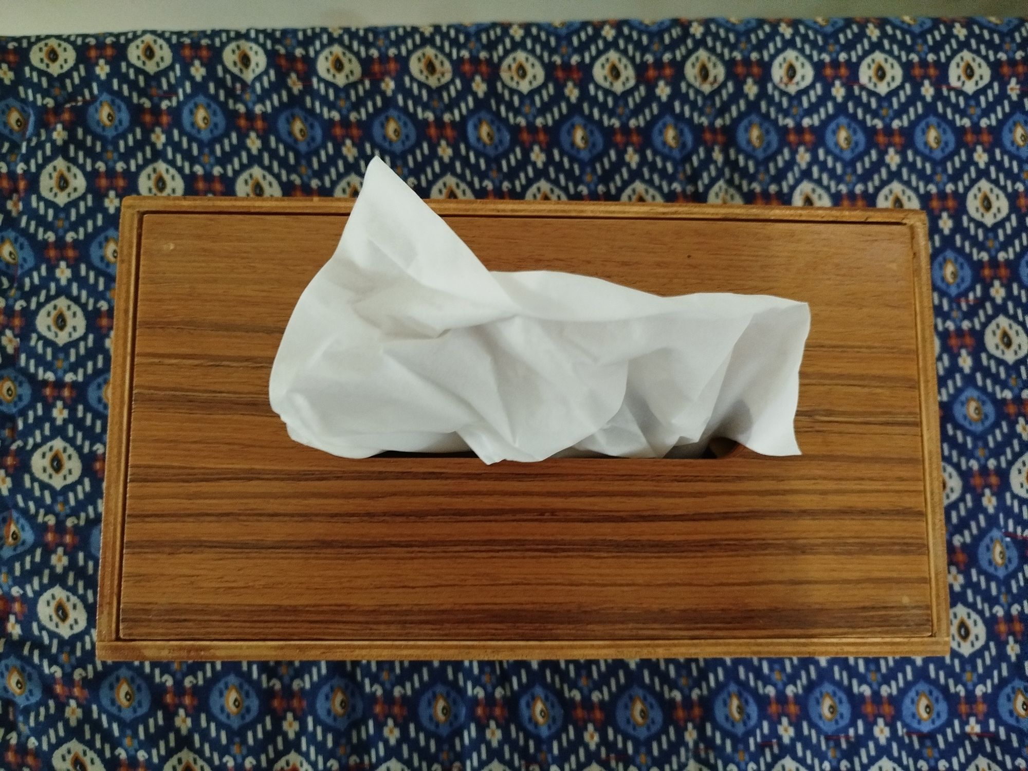 Picture of Modern tissue box made by vernier board