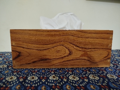 Picture of Modern tissue box made by vernier board