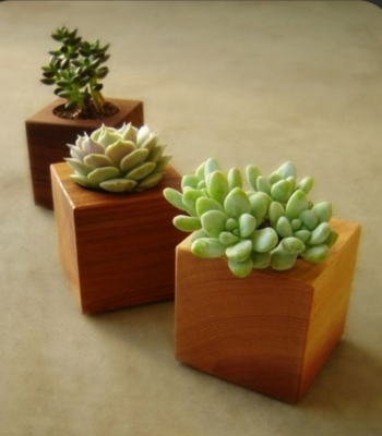 Picture of 3 p,c Wooden flower pot H4"inch W3"inch by 3"inch