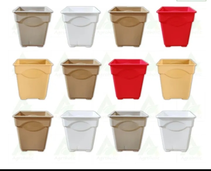 Picture of 12 pcs 2.5" inchs Extra mini size thai orchid planters /  Combo of 12  pcs 2.5" inches thai square orchid planters for gardening / mini plastic thai orchid tub square shape