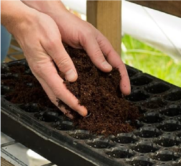 Picture of Natural cocodust 5kg