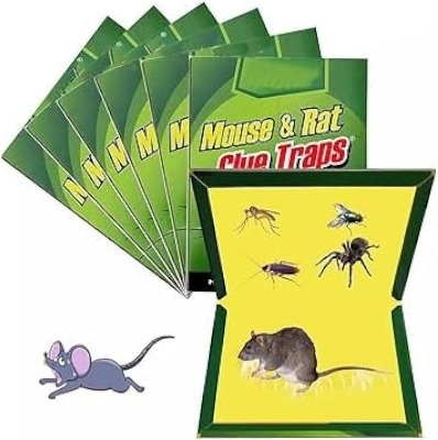 Picture of Mouse Board Sticky Mice Glue Trap