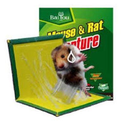 Picture of Mouse Board Sticky Mice Glue Trap