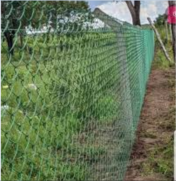 Picture of Garden Fencing Net 150 Fit Long 4 Fit Wide (Same As Picture)