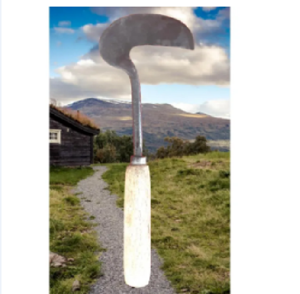 Picture of নিড়ানি# Weed Hook Heavy 13" Long