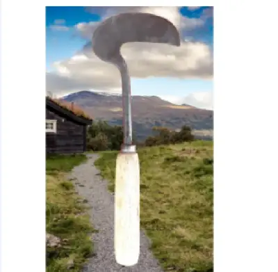 Picture of নিড়ানি# Weed Hook Heavy 13" Long