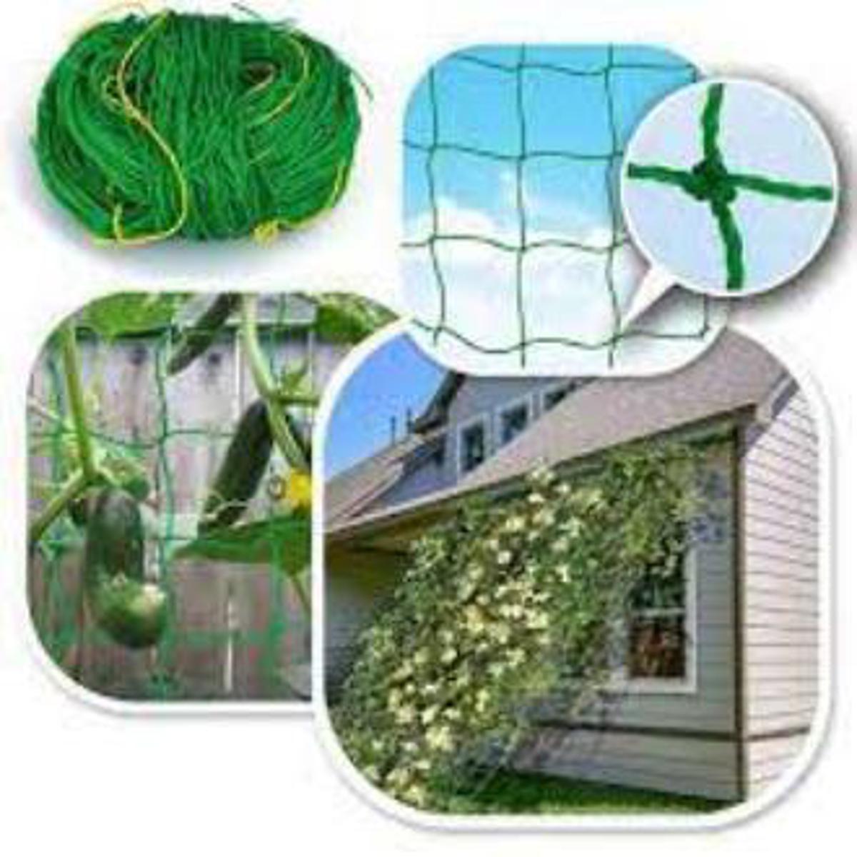 Picture of Agricultural Plants Trellis Net# Garden Climbing Plants Protect Netting (৮বাই ৫৫ হাত)