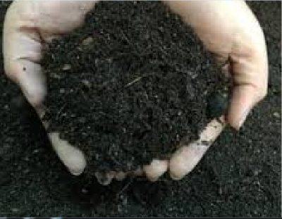 Picture of Vermicompost # ভার্মিকম্পোস্ট গন্ধ বিহীন কেঁচো বিহীন  ৩ কেজি প্যাক