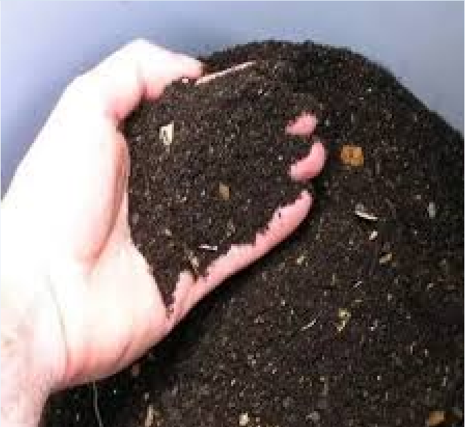 Picture of Vermicompost # ভার্মিকম্পোস্ট গন্ধ বিহীন কেঁচো বিহীন  ৩ কেজি প্যাক