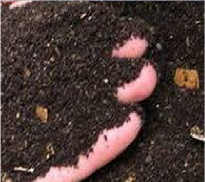 Picture of Vermicompost # ভার্মিকম্পোস্ট গন্ধ বিহীন কেঁচো বিহীন  ৩ কেজি প্যাক