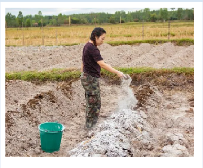 Picture of Lime # ঢলো চুনা ১ কেজি লুজ প্যাক