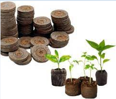 Picture of Pellets Seed Starting Plugs Pallet Seedling Soil Block( 30 Pcs)