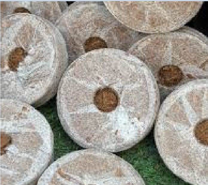 Picture of Pellets Seed Starting Plugs Pallet Seedling Soil Block( 30 Pcs)