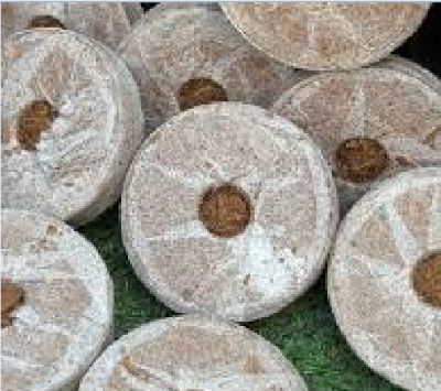 Picture of Pellets Seed Starting Plugs Pallet Seedling Soil Block( 30 Pcs)