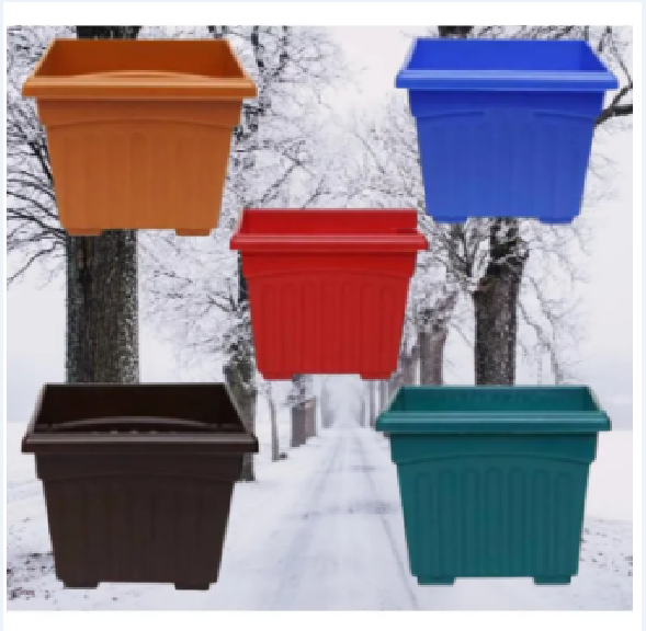 Picture of ফুলের টব 5.5" (Four colour 5 pics Set)