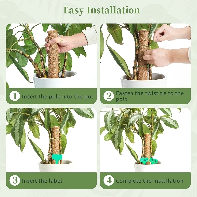 Picture of Coco Pole#Cocopeat Stick for indoor Plant 1 pcs 36Inchi