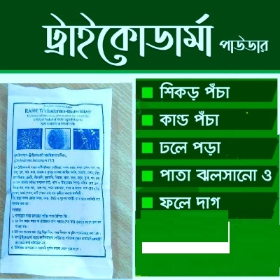 Picture of Trichoderma-Biofertilizer powder 125gm pack