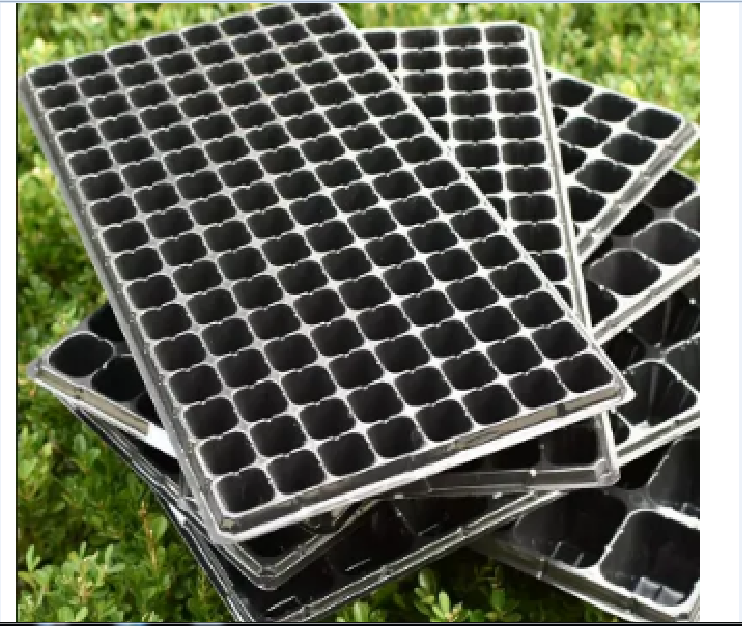 Picture of Seed Tray 72 cells-Plant Seeds Grow Nursery Pots Tray Vegetable Plastic Nursery Tray Seedling Tray 50 Cell