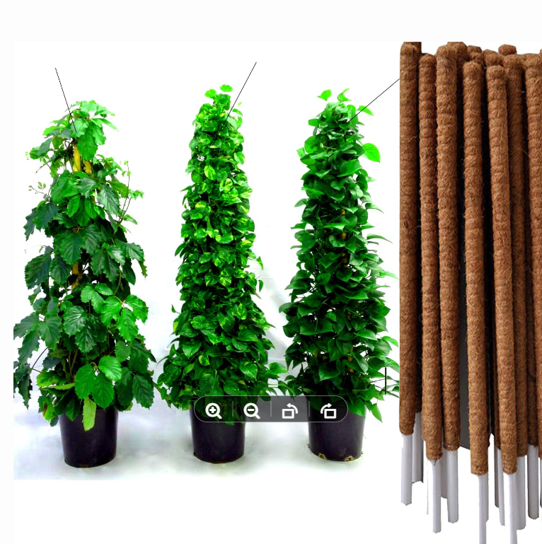Picture of Coco Fiber 28inchi Brown Organic Coir Pole-  length 1 pcs
