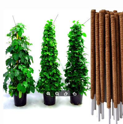 Picture of Coco Fiber 28inchi Brown Organic Coir Pole-  length 1 pcs