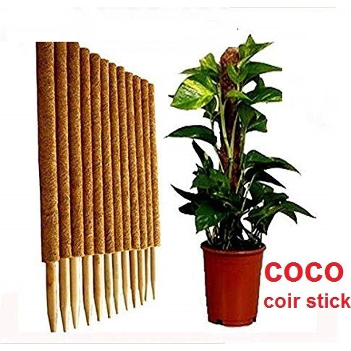 Picture of Coco Fiber 28inchi Brown Organic Coir Pole-  length 1 pcs