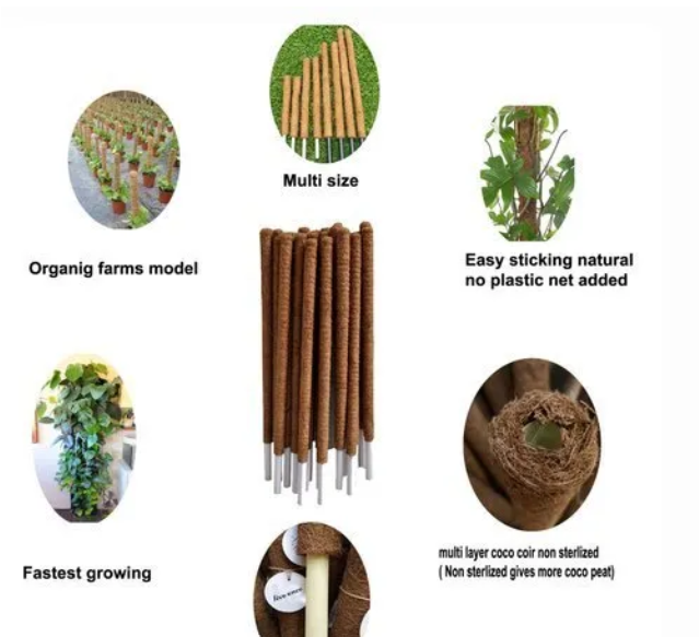 Picture of Coco Fiber 28inchi Brown Organic Coir Pole-  length 1 pcs