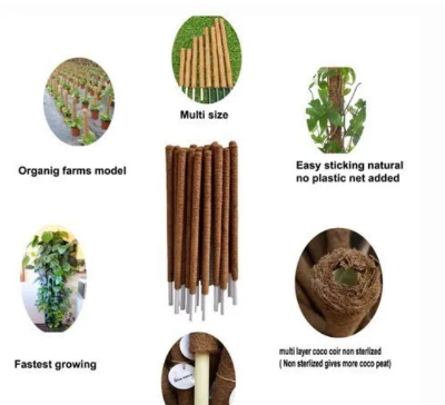 Picture of Coco Fiber 28inchi Brown Organic Coir Pole-  length 1 pcs